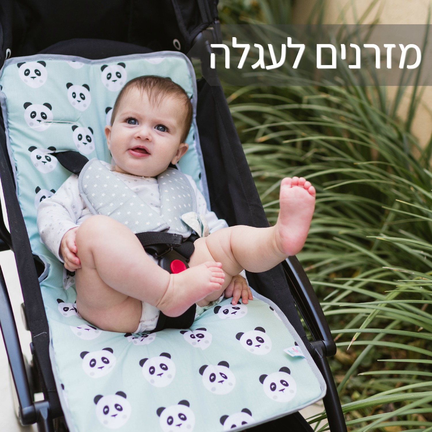 מזרנים לעגלה